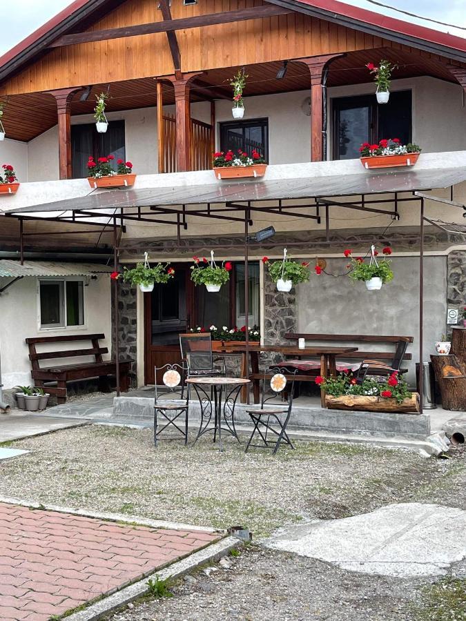 Gyongyver Panzio Sfantu Gheorghe  Exterior photo